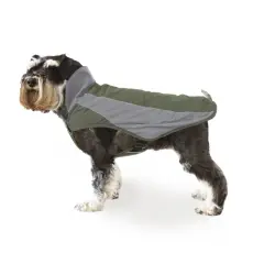 Outech Dakar Impermeable verde para perros