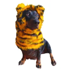 Puppies & Pom Poms Gorro Bufanda Tigre para perros - SML-MED