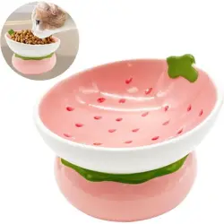 Qinhul Cuenco de cerámica inclinado para gatos - Artículo 1