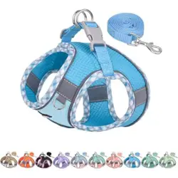 HausPets Arnés antitirones azul para cachorros/gatos, talla XS - 1 artículo