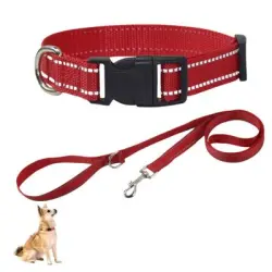 IntiMeg Collar reflectante de nailon para perros pequeños - Collar + cordón de tracción de 1,5 m