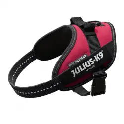 Julius K-9 IDC Arnés Magenta para perros