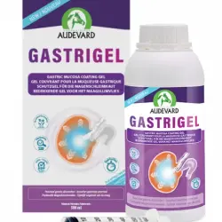 AUDEVARD GASTRIGEL 500 ml - 500 ml No relevante
