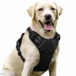 FurryFusion Arnés para perros - Artículo 1