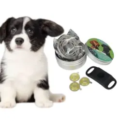 MCBOSON Colgante para perro negro (12 meses de protección) - 1 artículo