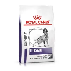 Royal Canin Expert Canine Dental pienso para perros - 13 kg