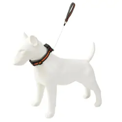 SAVIPET Collar para Perro Integrado con su Propio Correa retráctil, práctico Collar para Salir de Mascotas, tracción retráctil automática portátil - M