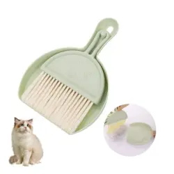 ZooVenture Juego de mini escoba y recogedor - Verde
