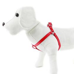 Arnés para perros Basic Rojo Talla XL