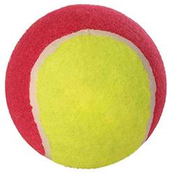 Pelotas de tenis multicolores para perros