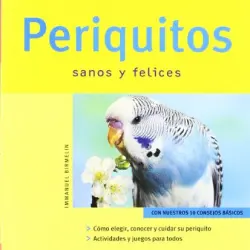 Periquitos (Mascotas en casa)