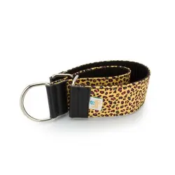 Collar Pamppy Galgo Speedy Leopardo Amarillo para perros