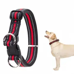 FurryFusion Collar antiahogo para perros con doble anilla en D - L