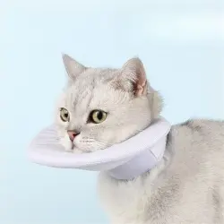 IntiMeg collar protector para gatos - Talla M: cuello de 18 a 28 cm, profundidad de 13,5 cm.