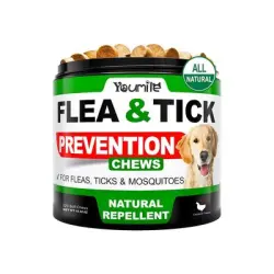 IntiMeg Medicamentos antiparasitarios para perros - Una pieza