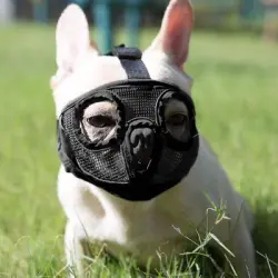 MCBOSON Bozal para perros de hocico corto - L