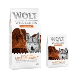 Wolf of Wilderness Explore The Mighty Summit Performance para perros - 12 kg