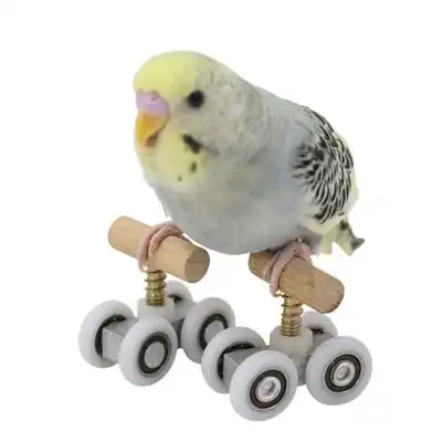 HausPets Patines para loros - Artículo 1 - HausPets - Comparador de precios