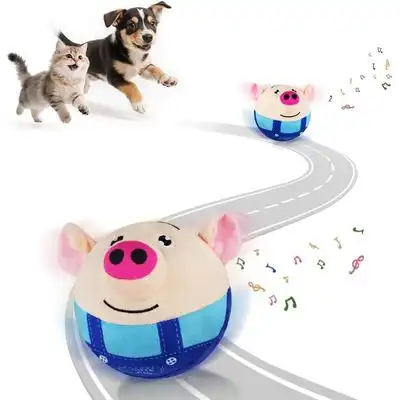 HausPets Peluche de cabeza de cerdo – Recargable y lavable - Azul - HausPets - Comparador de precios