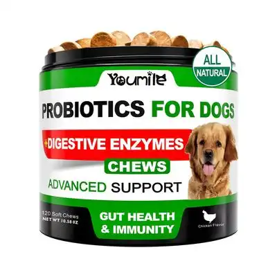 IntiMeg Suplementos probióticos para perros - Una pieza - IntiMeg - Comparador de precios