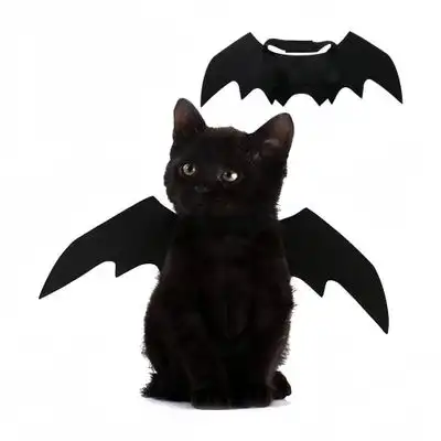 FurryFusion Disfraz de gato murciélago para Halloween - Artículo 1 - Furry Fusion - Comparador de precios