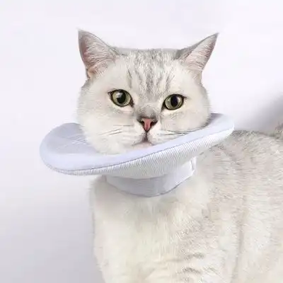 IntiMeg collar protector para gatos - Talla XL: cuello de 25 a 36 cm, profundidad de 20 cm. - IntiMeg - Comparador de precios