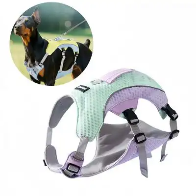 Pet Planet Arnés refrescante para perros de verano - Morado Verde XL - Pet Planet - Comparador de precios