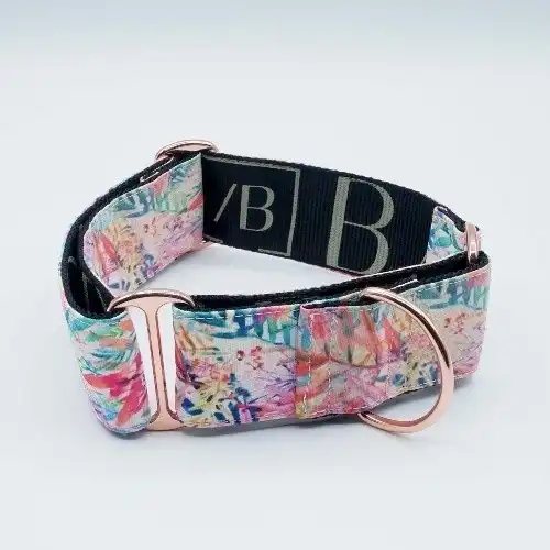 Baona martingale manila de nylon reciclado multicolor para perros - Baona - Comparador de precios