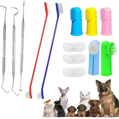 HausPets Paquete de 10 cepillos de dientes para perros y gatos - Artículo 1 - HausPets - Comparador de precios
