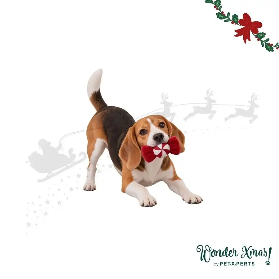 Wonder Christmas Caramelo  para perros 24 x 12 x 4 cm - Wonder Christmas - Comparador de precios