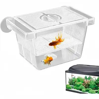 ZooVenture Caja de aislamiento transparente para acuario - S - Zooventure - Comparador de precios