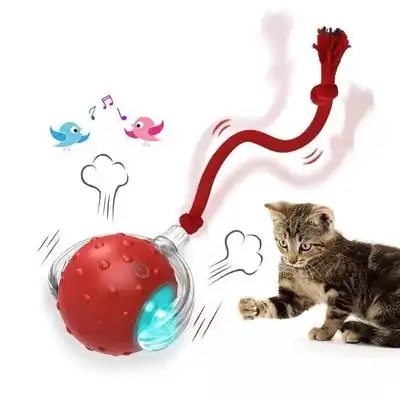 IntiMeg Pelota interactiva para gato rojo - Rojo - IntiMeg - Comparador de precios