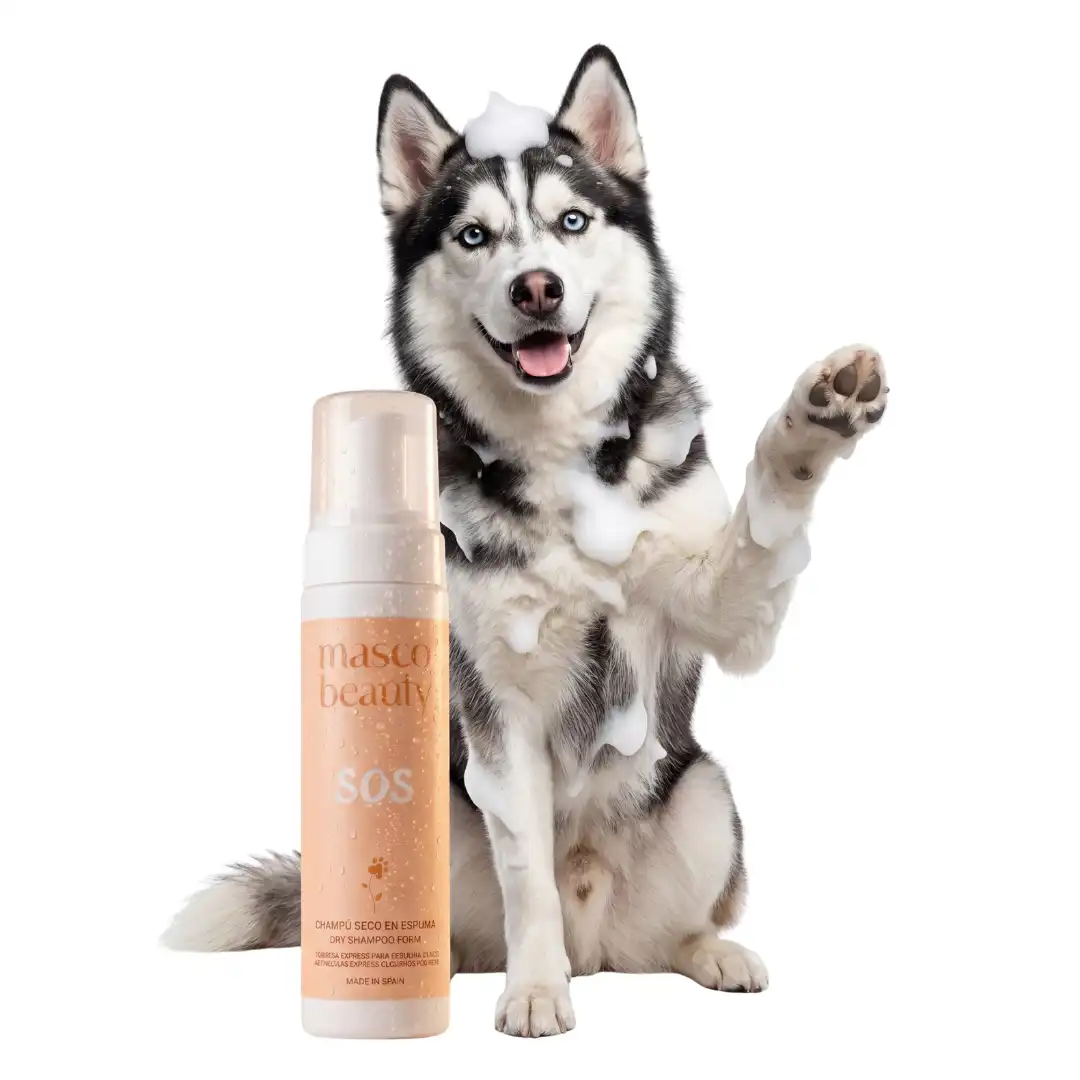 Masco Beauty Champú Seco en Espuma para perros · Sin agua y sin aclarado · Limpia y refresca al instante · Ideal playa, piscina y paseos · Aloe Vera · Hecho en España - 200 ml - Masco Beauty - Comparador de precios