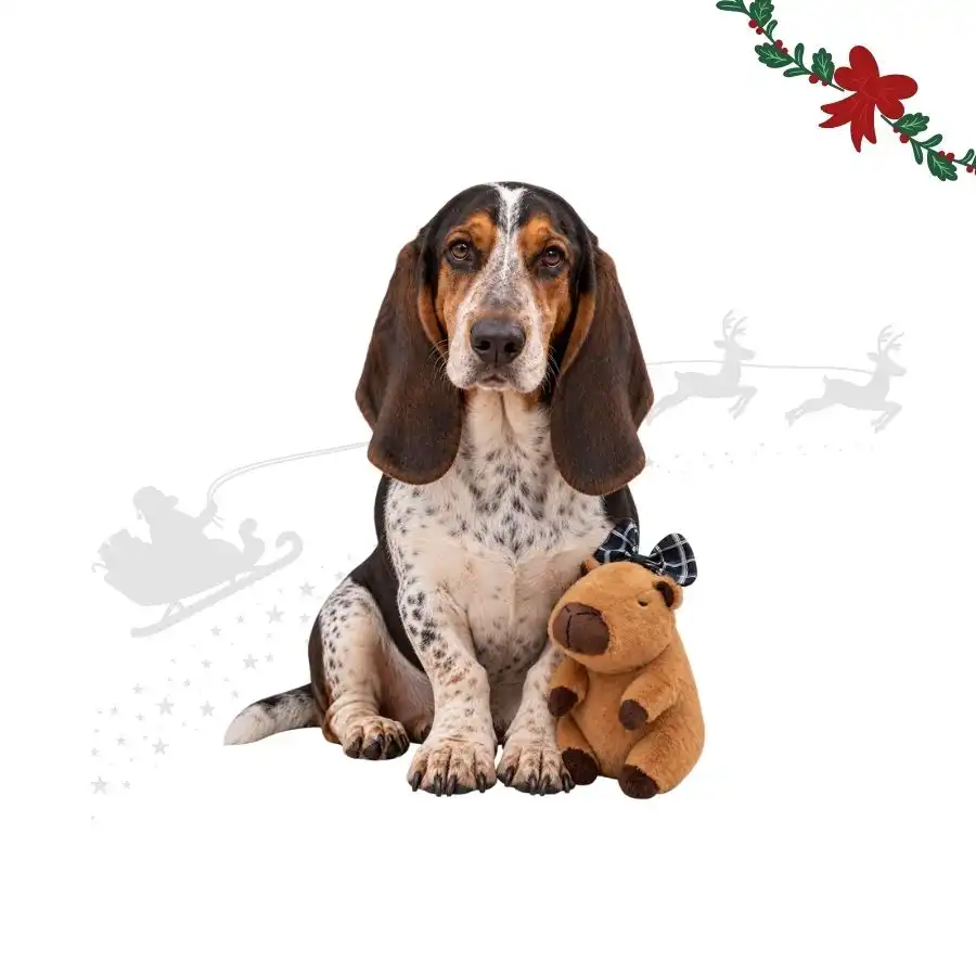 Wonder Christmas Capibara Peluche para perros 22 x 14 x 13 cm - Wonder Christmas - Comparador de precios