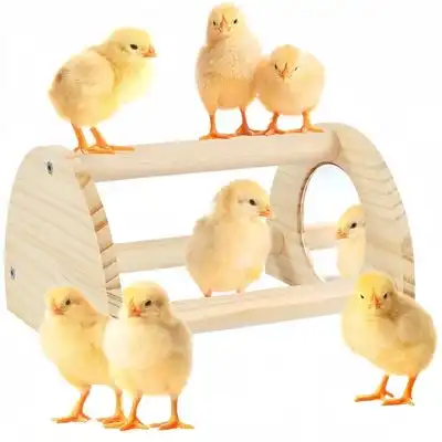 ZooVenture Percha de madera para gallinas y gallinero - Con espejo - Zooventure - Comparador de precios