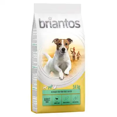 Briantos Adult Mini Cordero y arroz - 14 kg - briantos - Comparador de precios