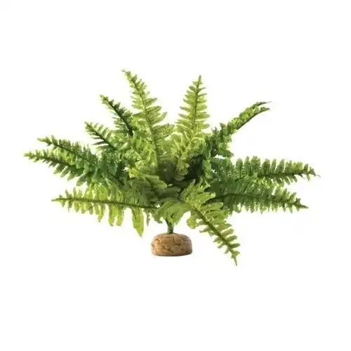 Exo Terra helecho boston para reptiles o anfibios - Exo Terra - Comparador de precios