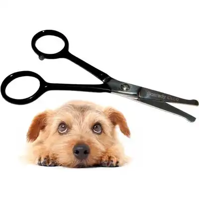 HausPets Tijeras silenciosas cuidado perros, gatos, orejas patas, 11 cm - Artículo 1 - HausPets - Comparador de precios