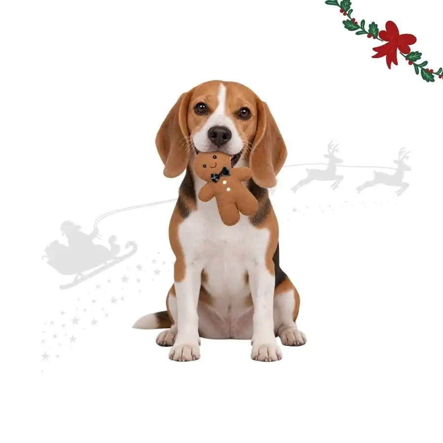 Wonder Christmas Muñeco Jengibre  para perros 28 x 17 x 5 cm - Wonder Christmas - Comparador de precios