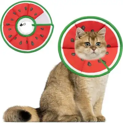 HausPets Collar cónico para gato con forma de sandía verde, talla S - Modelo: Talla S | Color: Verde | Forma: Sandía - HausPets - Comparador de precios