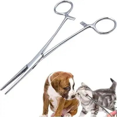 HausPets Pinzas hemostáticas acero inoxidable eliminación pelo orejas - Artículo 1 - HausPets - Comparador de precios