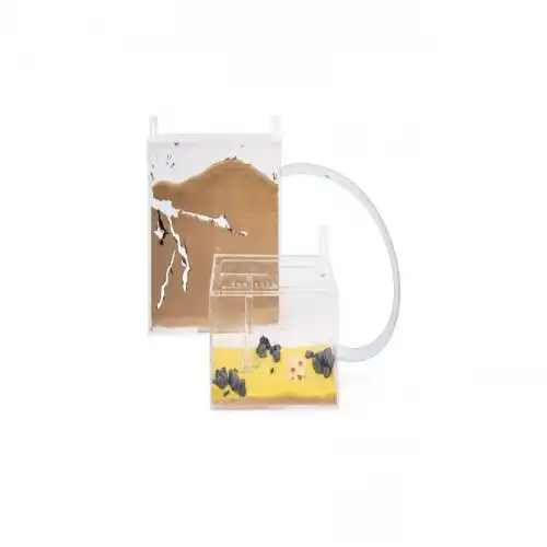 Kits hormiguero acrílico grande para pared - Anthouse - Comparador de precios