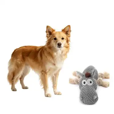 MCBOSON Peluche burro gris sonido chirriante - Tamaño pequeño/mediano - 1 artículo - Mcboson - Comparador de precios