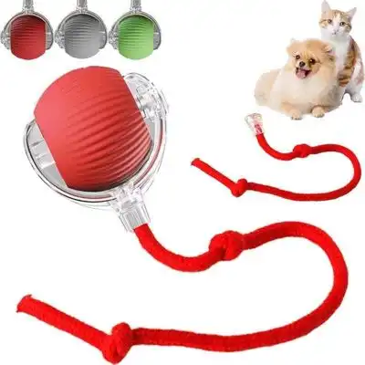 Pawffee  automático para gatos, pelota interactiva para ejercicio - 1 pieza - Pawffee - Comparador de precios