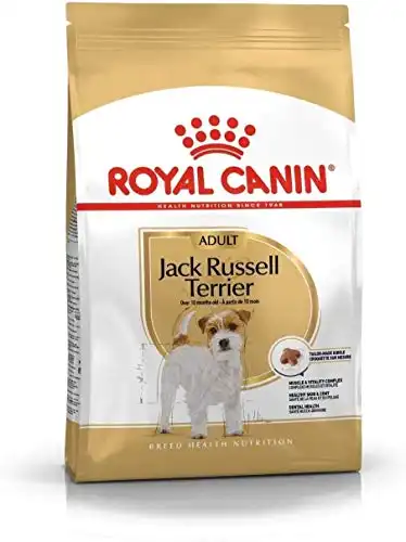 Royal Canin Jack Russell Terrier Adult 500 gr