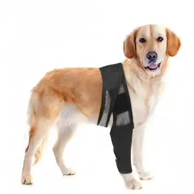FurryFusion protector de codo para perros - METRO - Furry Fusion - Comparador de precios