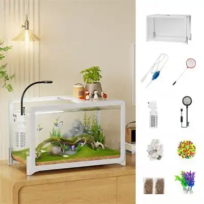 IntiMeg Mini acuario para oficina - Una pieza - IntiMeg - Comparador de precios