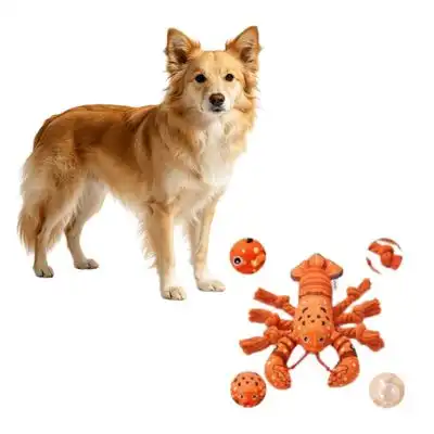 MCBOSON Peluche masticable langosta naranja sonido cachorros perros todas - 1 artículo - Mcboson - Comparador de precios