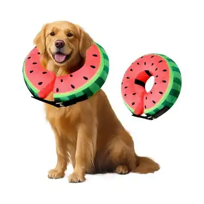 ZooVenture collar inflable para perro - S - Zooventure - Comparador de precios