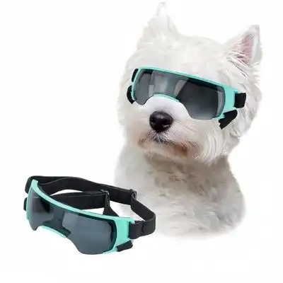 ZooVenture Gafas de sol para perros pequeños - 1 pieza - Zooventure - Comparador de precios